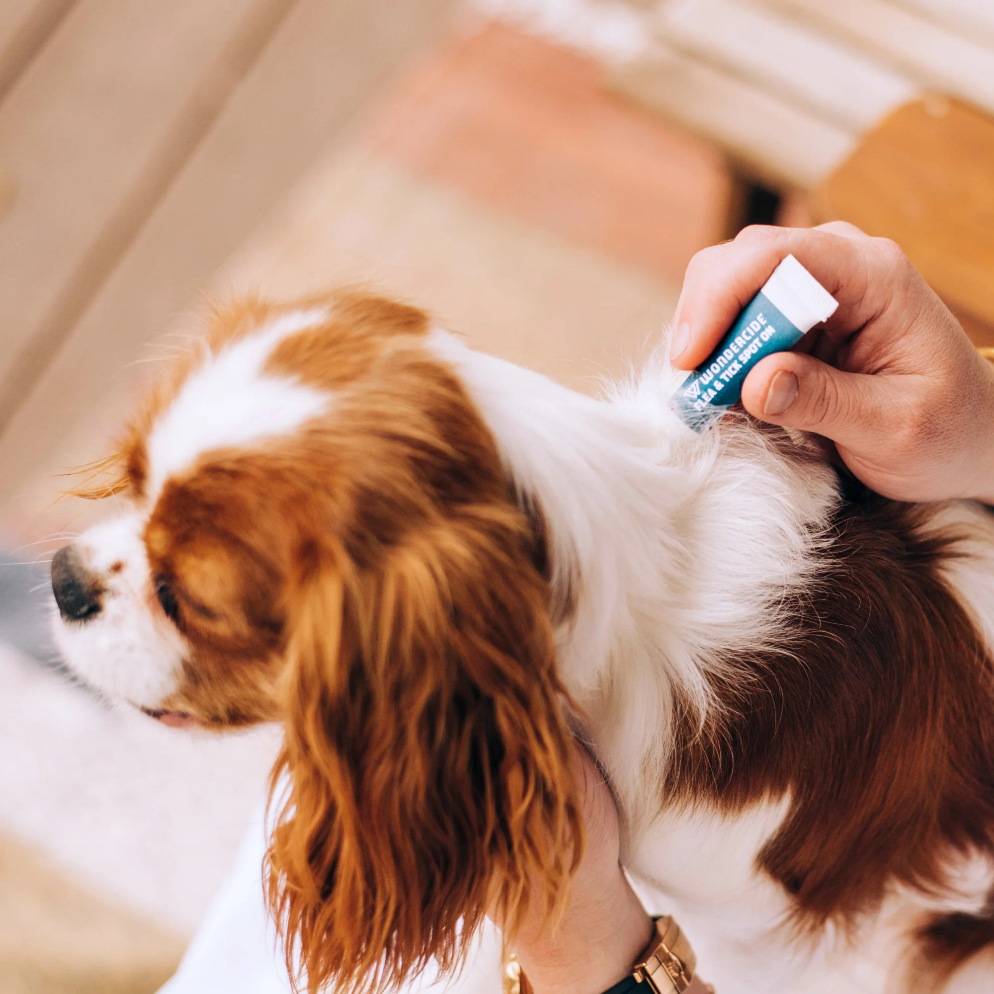 12-Month Flea & Tick Spot On for Dogs + Cats - Image 2