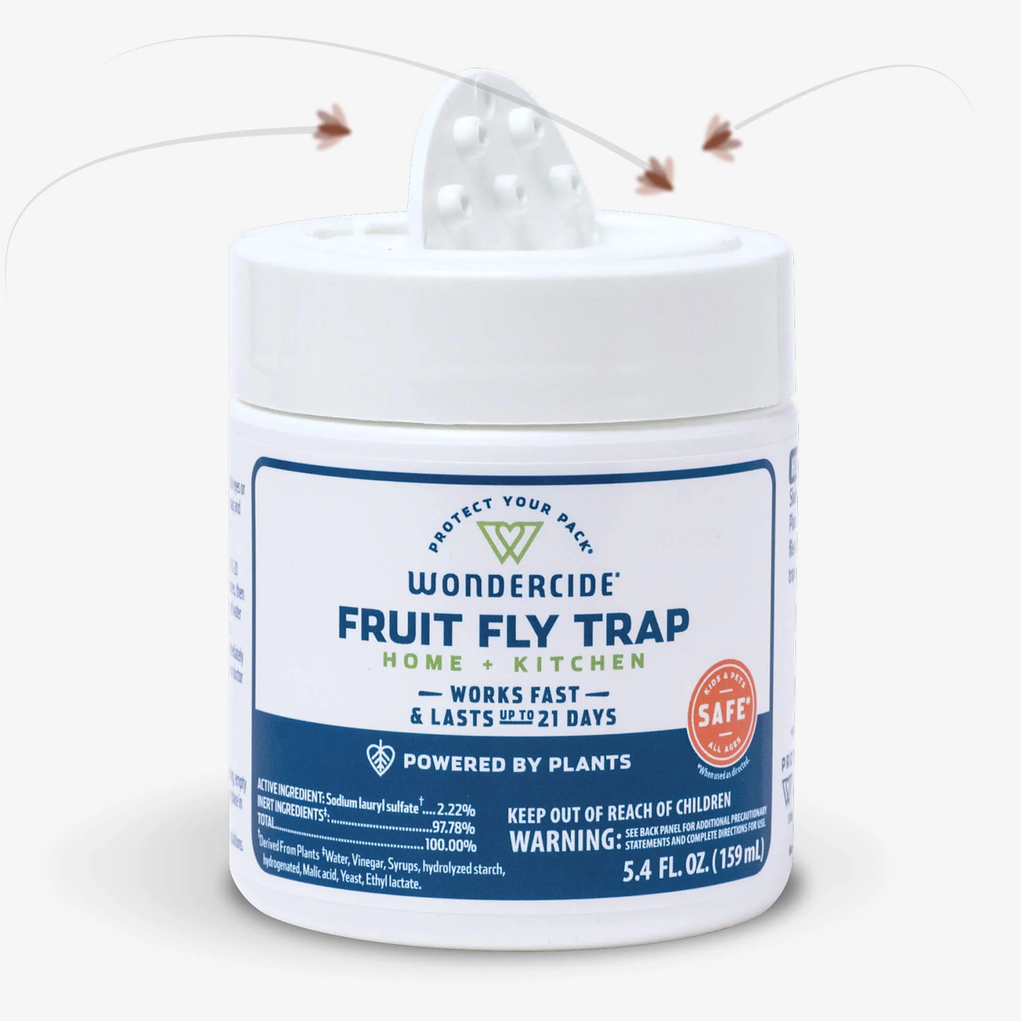 Fruit Fly Trap for Home + Kitchen - Image 6